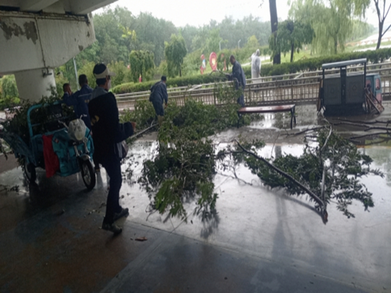 未命名_副本.jpg 未命名_副本.jpg