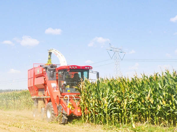 4a2de842193645f529de11ccc444e9b8.jpeg 4a2de842193645f529de11ccc444e9b8.jpeg