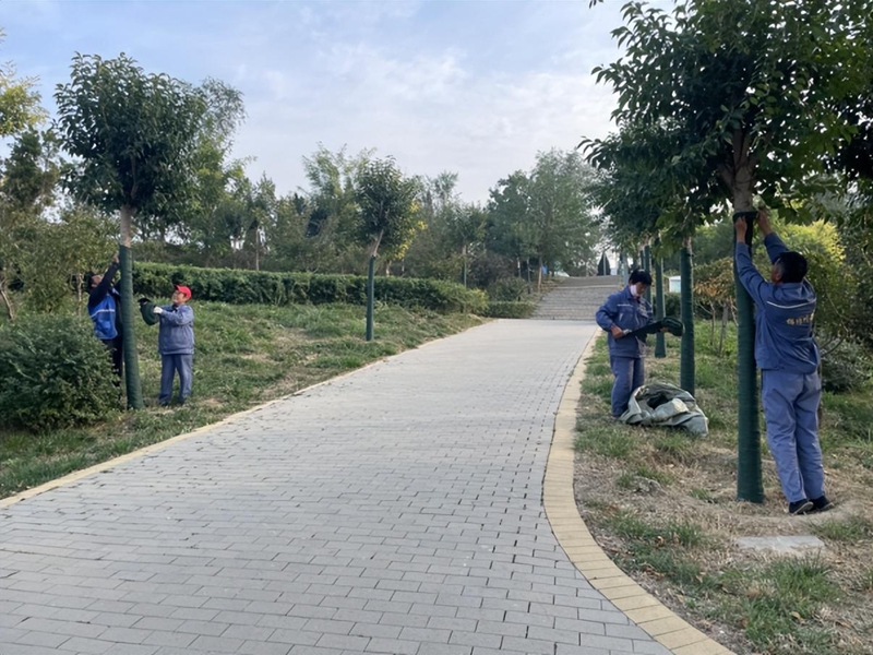 未命名_副本.jpg 未命名_副本.jpg