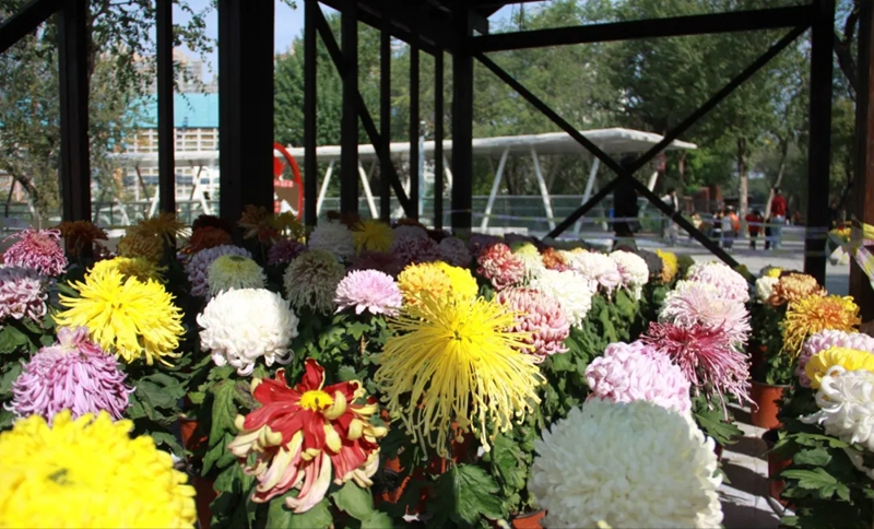 未命名_副本.jpg 未命名_副本.jpg