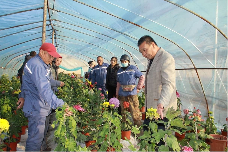 未命名_副本.jpg 未命名_副本.jpg