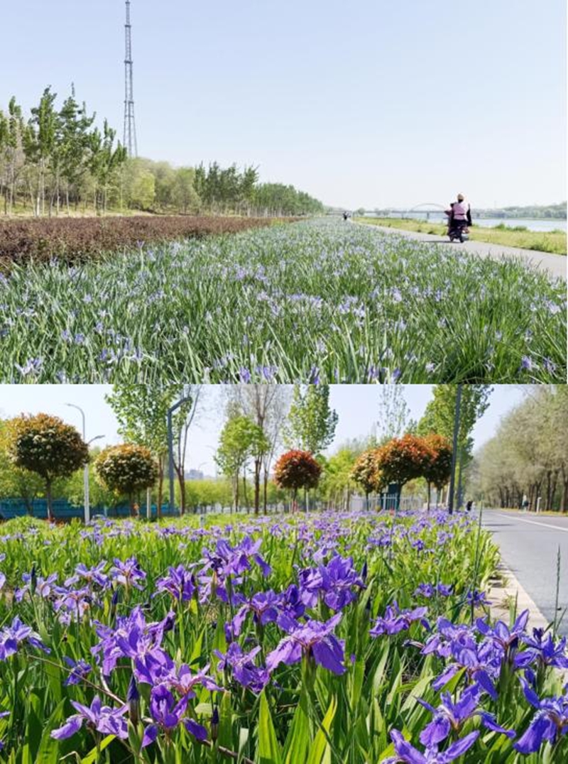 未命名_副本.jpg 未命名_副本.jpg