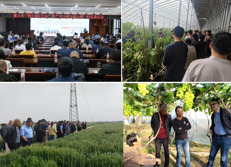 未命名_副本.jpg 未命名_副本.jpg