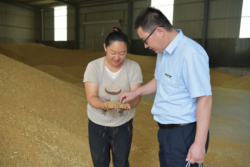 未命名_副本.jpg 未命名_副本.jpg