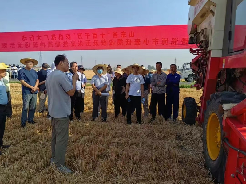 未命名_副本.jpg 未命名_副本.jpg