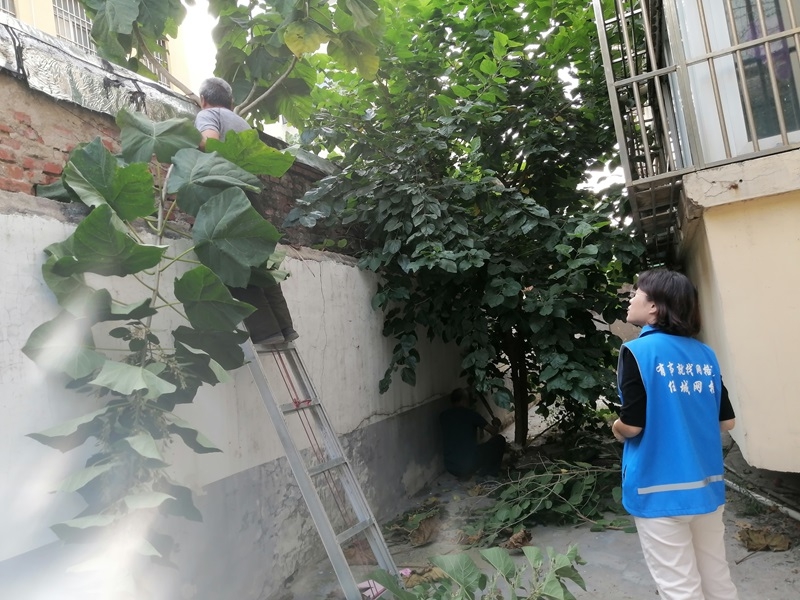 未命名_副本.jpg 未命名_副本.jpg