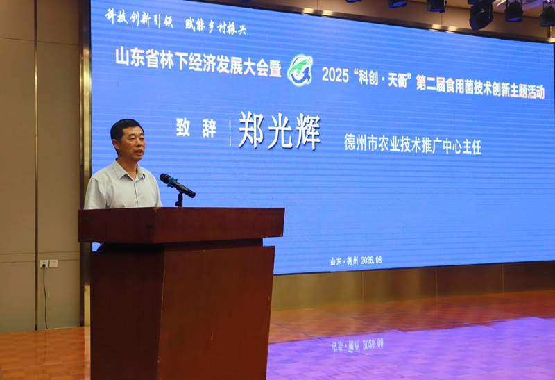 未命名_副本.jpg 未命名_副本.jpg