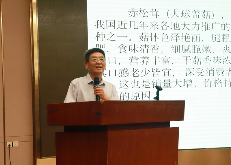 未命名_副本.jpg 未命名_副本.jpg