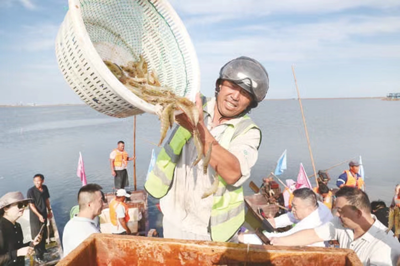 未命名_副本.jpg 未命名_副本.jpg