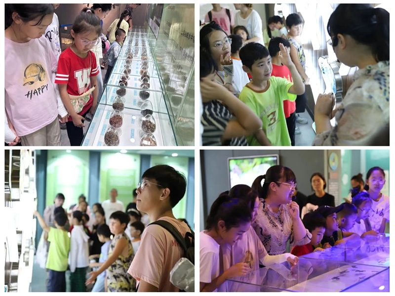 未命名_副本3.jpg 未命名_副本3.jpg