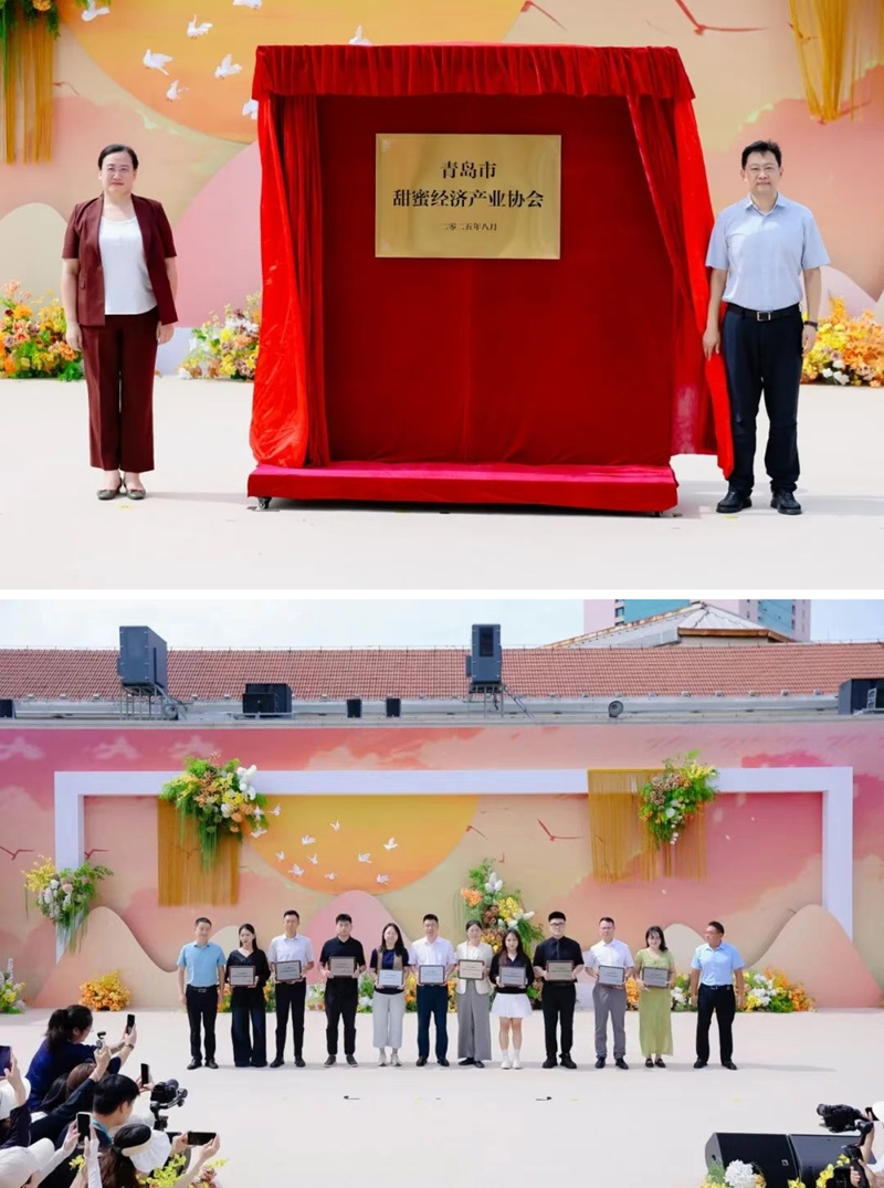 未命名_副本.jpg 未命名_副本.jpg