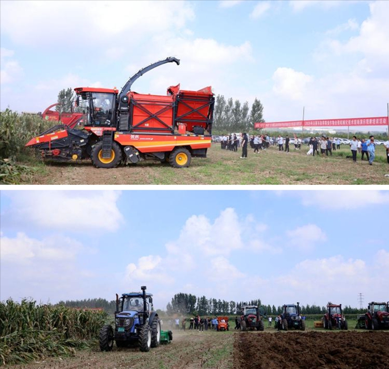 未命名_副本.jpg 未命名_副本.jpg