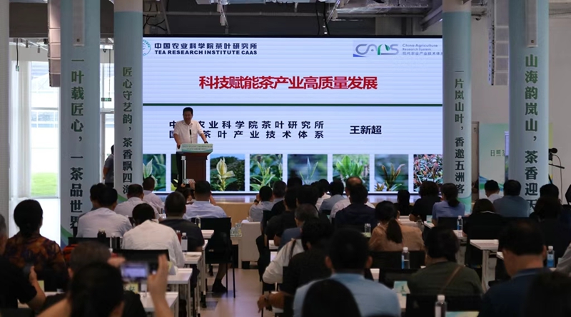 未命名_副本.jpg 未命名_副本.jpg