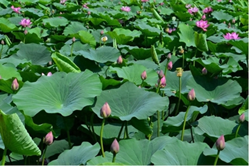 未命名_副本.jpg 未命名_副本.jpg