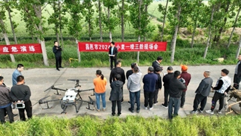 未命名_副本.jpg 未命名_副本.jpg