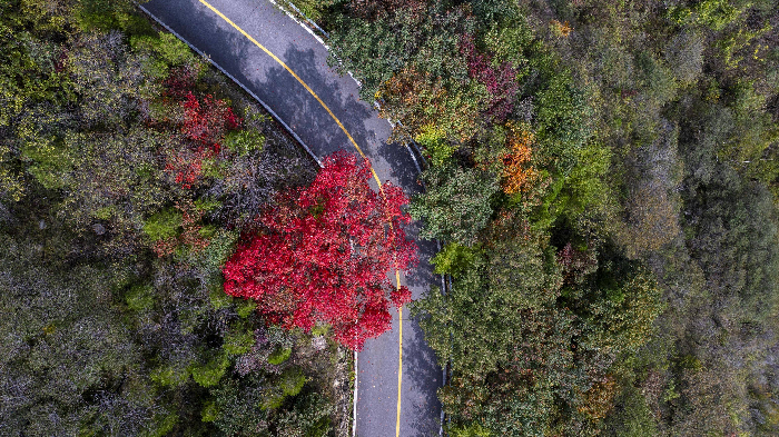 00300805528_i1000700000393a0_393ac60e.png 00300805528_i1000700000393a0_393ac60e.png