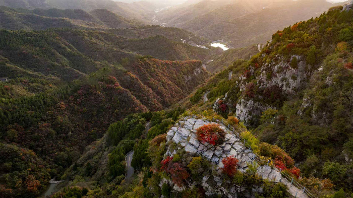 00300805524_i1000700000393a0_ddf6778b.png 00300805524_i1000700000393a0_ddf6778b.png