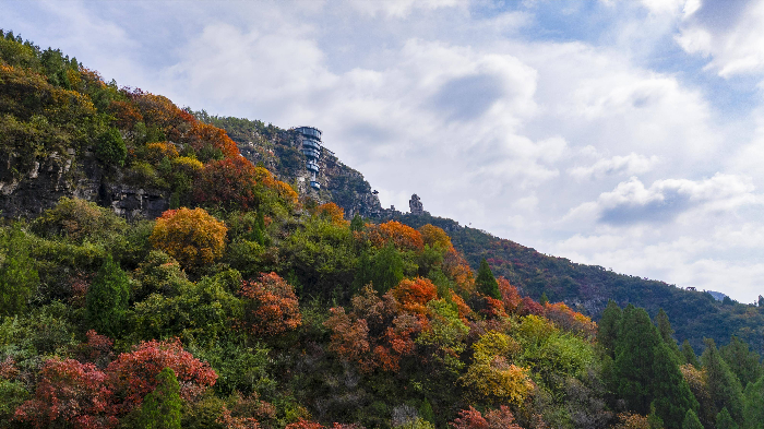 00300805525_i1000700000393a0_9bcbe848.png 00300805525_i1000700000393a0_9bcbe848.png