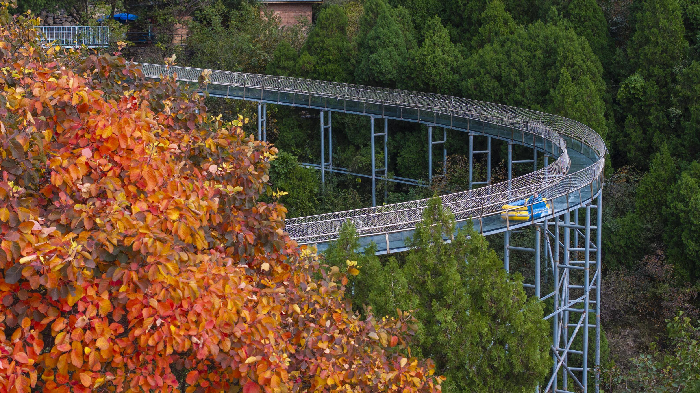 00300805527_i1000700000393a0_88cb214c.png 00300805527_i1000700000393a0_88cb214c.png