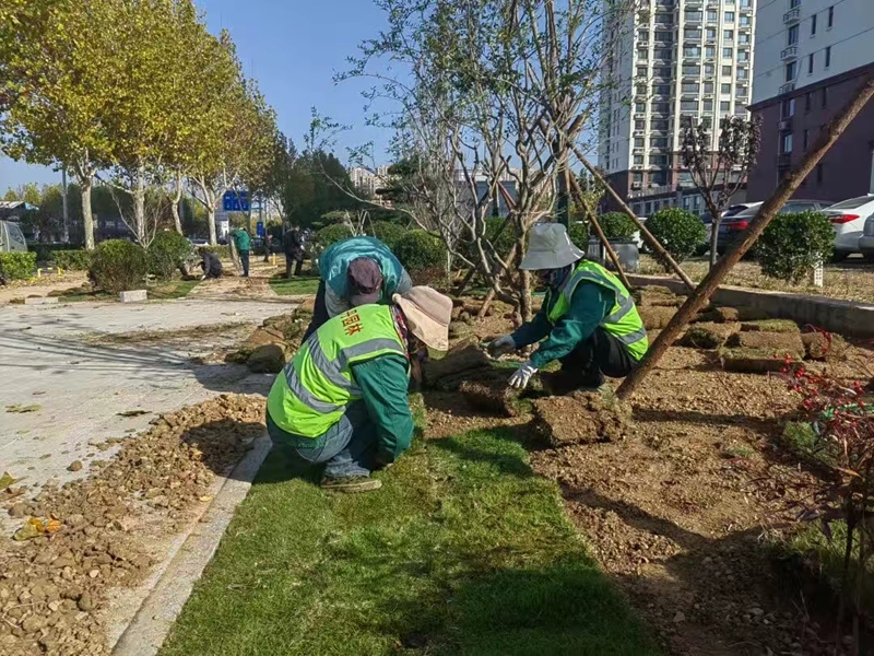 未命名_副本.jpg 未命名_副本.jpg