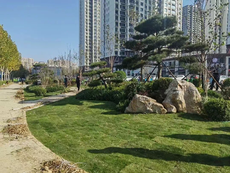 未命名_副本.jpg 未命名_副本.jpg