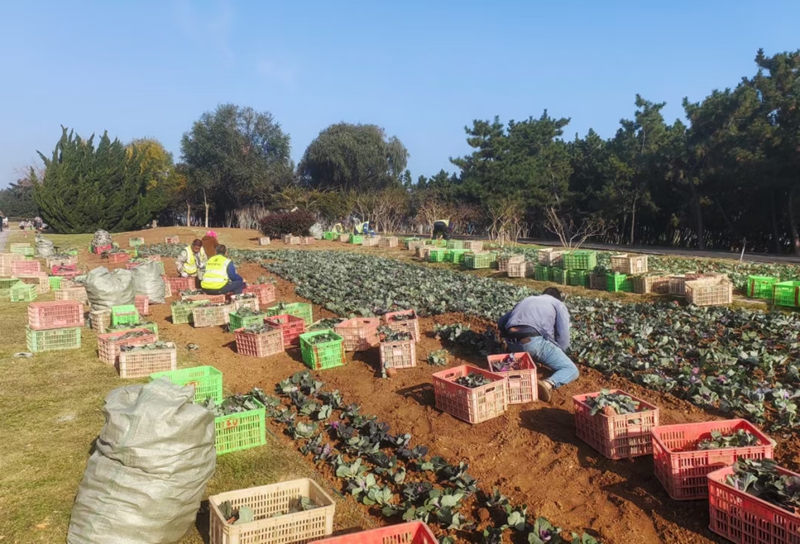 未命名_副本.jpg 未命名_副本.jpg