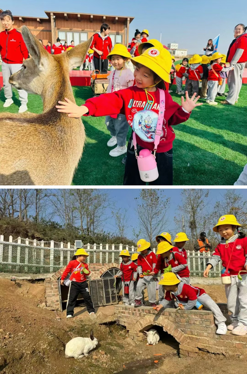 未命名_副本.jpg 未命名_副本.jpg