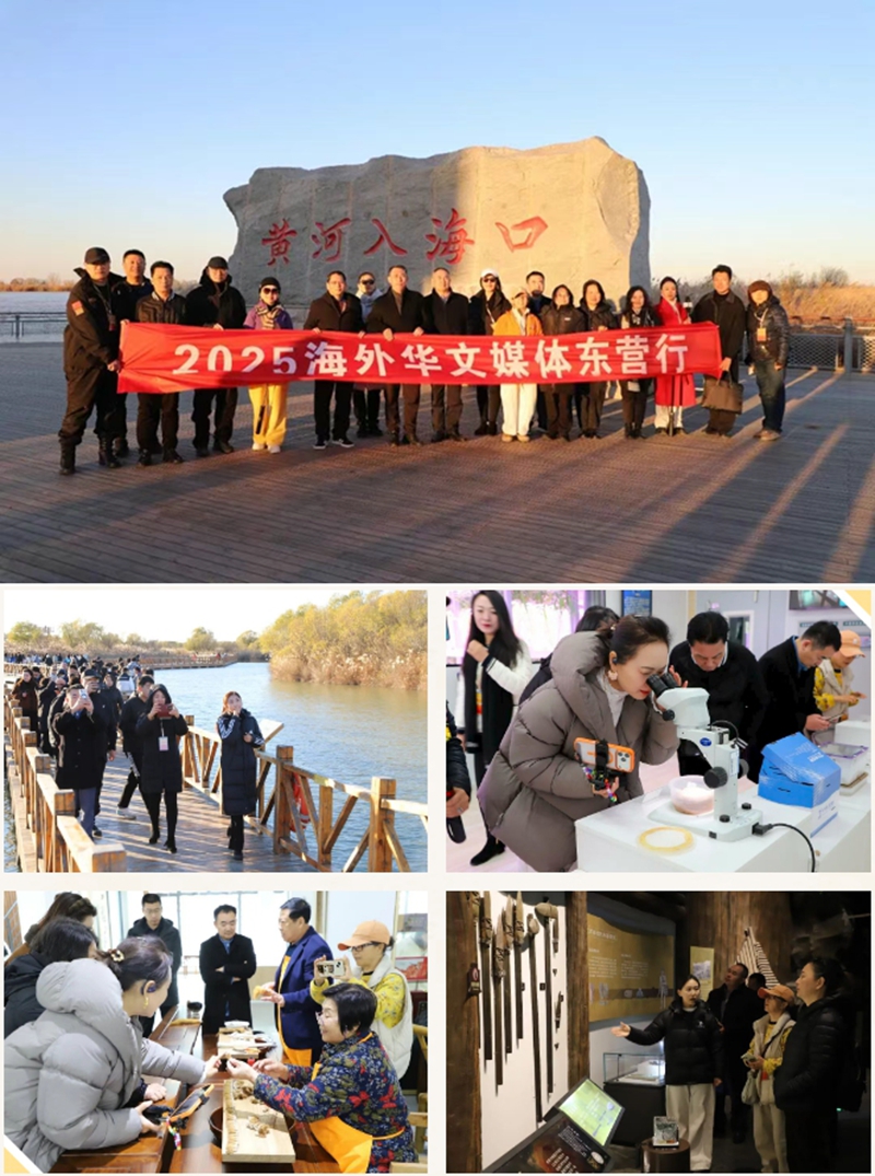 未命名_副本.jpg 未命名_副本.jpg