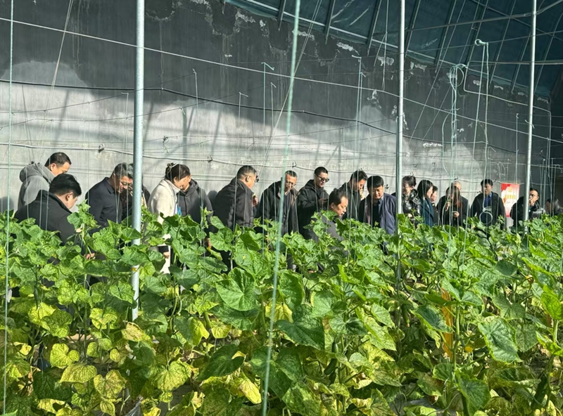 未命名_副本.jpg 未命名_副本.jpg