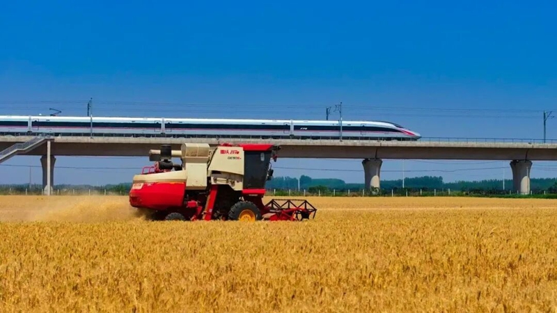 未命名_副本.jpg 未命名_副本.jpg