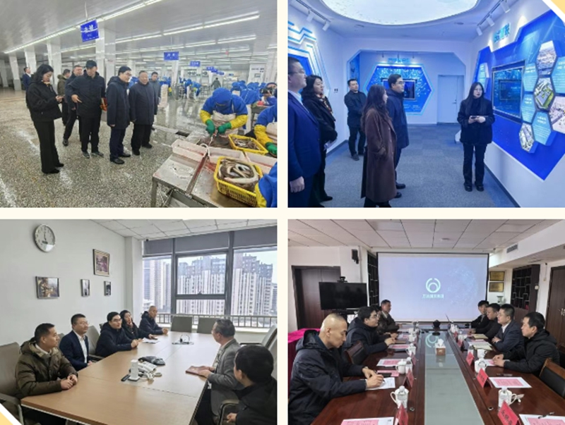 未命名_副本.jpg 未命名_副本.jpg