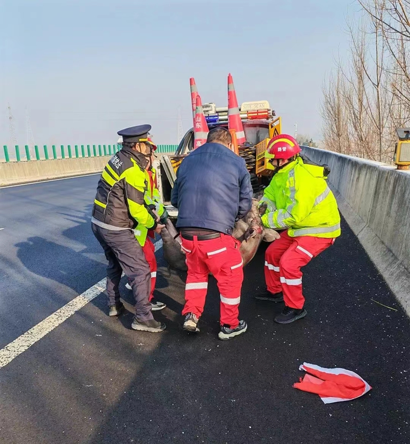 未命名_副本.jpg 未命名_副本.jpg