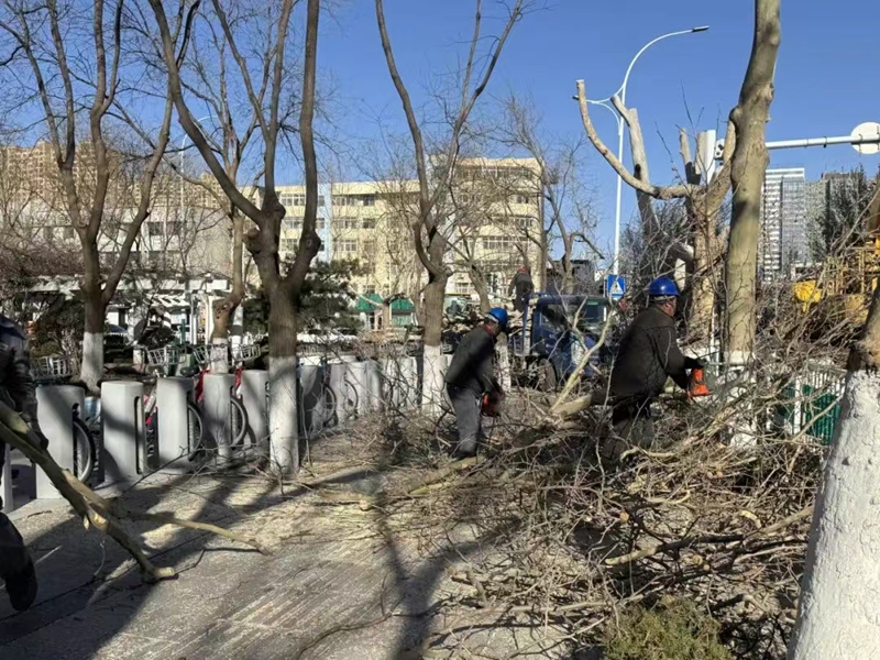 未命名_副本.jpg 未命名_副本.jpg