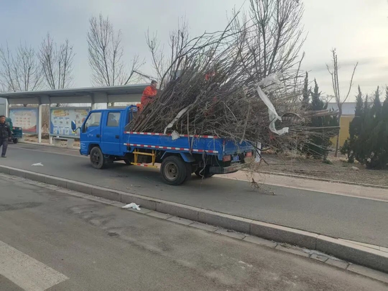 未命名_副本.jpg 未命名_副本.jpg