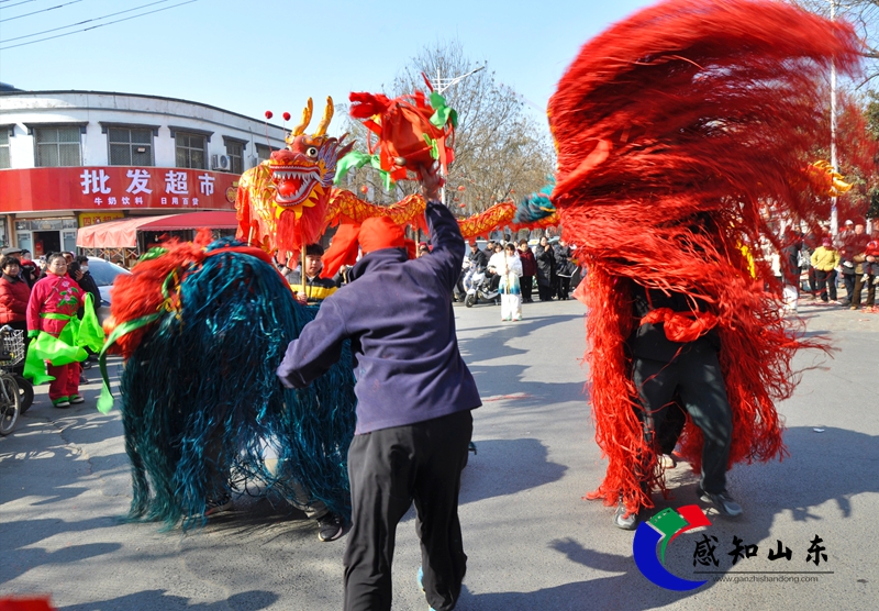 IMG_20260217_150707.jpg IMG_20260217_150707.jpg